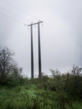 Two tall power poles stand prominently in a fog-draped landscape, surrounded by lush greenery and