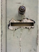 A weathered door in an urban setting features peeling paint and a rusty mail slot. The worn