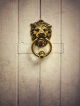 A striking golden lion door knocker captures attention, proudly mounted on a weathered white wooden