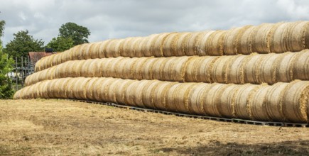 Storage of round straw bales in Skurup municipality, Skåne county, Sweden, Scandinavia