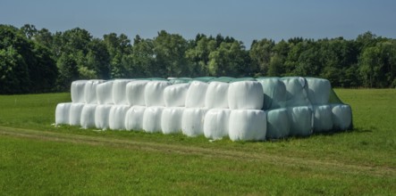 Storage of round silage bales in Ystad municipality, Skåne county, Sweden, Scandinavia