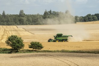Landscape with threshing of grain with combine harvester at Ystad, Skåne county, Sweden,