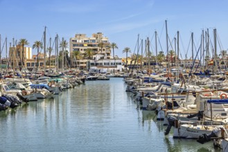 Marina with pleasure boats at a tourist resort with houses by the sea a sunny summer day, Palma de