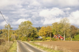 Farm by a gravel road in the countryside on a sunny day with beautiful autumn colors on the trees,