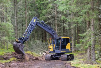Excavator digging at a road construction site in a coniferous forest