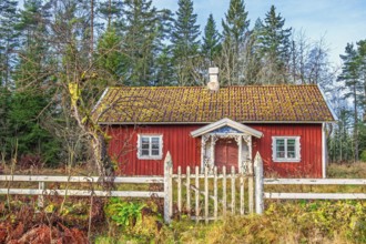 Red old wooden cottage with a white wooden fence and a gate to the garden by the forest in autumn,