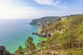 Sea view with the horizon at a rocky coastline with a pine forest a sunny summer day, Crozon