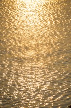 Olden sunlight is reflected by the water surface of the North Sea, natural glow, glow, highlights
