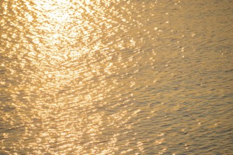 Golden sunlight is reflected by the water surface of the North Sea, natural glow, glow, highlights