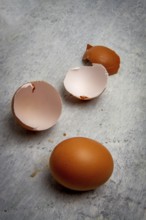 A collection of broken egg shells sits alongside a whole brown egg on a rustic gray surface,