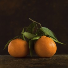 Two vibrant tangerines with lush green leaves sit on a weathered wooden surface. The rich orange