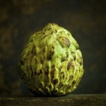 The sugar apple, known as annona squamosa, showcases its unique, scaly green exterior. This exotic