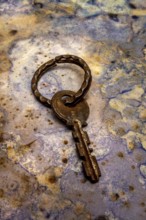 An aged key lies on a beautifully textured surface, showcasing its unique design and patina. The