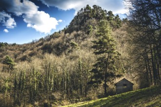 A wooden cabin stands alone in a sunny clearing, surrounded by bare trees and a rocky hill. The sky