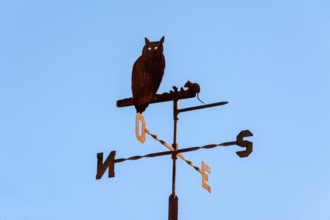 A weathercock displays an owl silhouette, positioned atop a building. The clear blue sky serves as