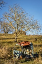 A weathered vehicle rests in a secluded field in Auvergne-Rhone-Alpes, France. Surrounded by tall