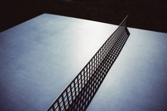 A close-up perspective of a ping pong table shows its smooth, reflective surface and a net