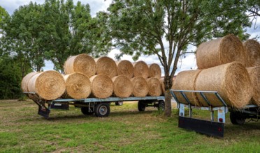 Straw bales on a trailer, agriculture in Hesse, Germany