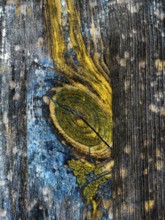 Vibrant blues and yellows stand out on weathered wooden planks, highlighting intricate patterns and