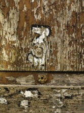 A close-up view reveals a weathered wooden surface with various textures and peeling paint. The