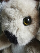 A detailed view of a plush toy reveals its soft, fluffy texture and sparkling eyes. The lighting