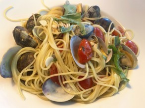Plate of spaghetti vongole, clams, cherry tomatoes, garlic, Food, Stuttgart, Baden-Württemberg,