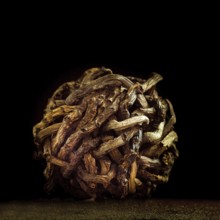 The artwork features a detailed spherical shape formed from intertwined twigs. Soft illumination