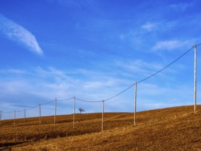 A line of wooden electric poles stretches across a hillside in the Regional Nature Park of Volcans