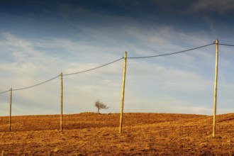 A row of wooden electric poles stretches across the golden hills of the Regional Nature Park of