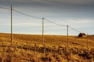 A tranquil view features a row of wooden electric poles stretching across the golden fields of
