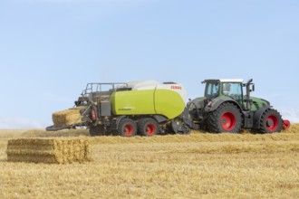 Combine harvester harvesting on a ripe grain field