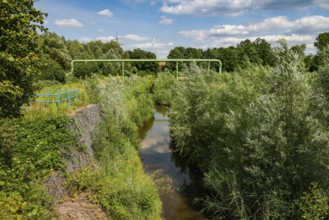 Bottrop, North Rhine-Westphalia, Germany - Renaturalised Boye, the tributary of the Emscher, has