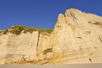 Cliffs, Etretat, Alabaster Coast, Seine-Maritime, Normandy, France