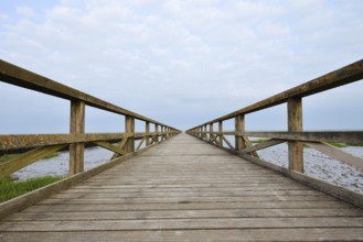 Wooden walkway in the Wadden Sea, Wadden Sea National Park, North Frisia, Schleswig-Holstein,