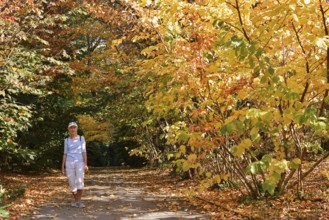 Woman walking through a park in autumn, North Rhine-Westphalia, Germany