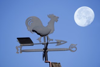 Weathercock or weather vane on house roof with full moon, Lower Saxony, Germany