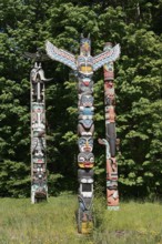 Totem Pole, Kakaso'Las Totem Pole, Stanley Park, Vancouver, British Columbia, Canada
