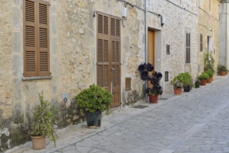Houses with potted plants in an alley, Petra, Majorca, Balearic Islands, Spain