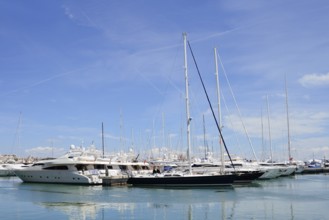 Boats in the harbour, Palma de Majorca, Majorca, Balearic Islands, Spain