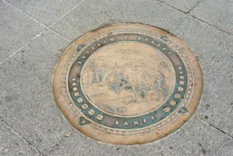 Gully cover on Buffalo Street, Banff, Banff National Park, Alberta, Canada