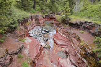 Stream in Red Rock Canyon, Waterton Lakes National Park, Alberta, Canada