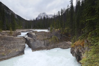 Natural Bridge, Kicking Horse River, Yoho National Park, British Columbia, Canada