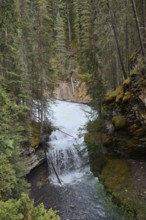 Waterfall, Johnston Canyon, Johnston Creek, Banff National Park, Alberta, Canada