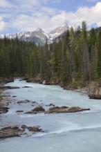 Kicking Horse River, Yoho National Park, British Columbia, Canada