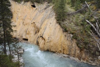 Johnston Canyon, Johnston Creek, Banff National Park, Alberta, Canada