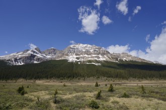 Canadian Rocky Mountains, Icefields Parkway, Banff National Park, Alberta, Canada