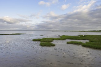 Mudflats at low tide, Wadden Sea National Park, North Frisia, Schleswig-Holstein, Germany