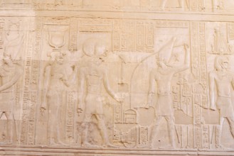 Relief on the double temple of Kom Ombo, Kom Ombo, Egypt
