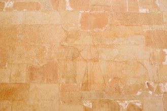 Relief of the Hathor Cow, Temple of Hatshepsut, Mortuary Temple of Hatshepsut, Deir el-Bahari,