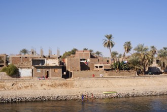 Houses and palm trees on the banks of the Nile, Egypt